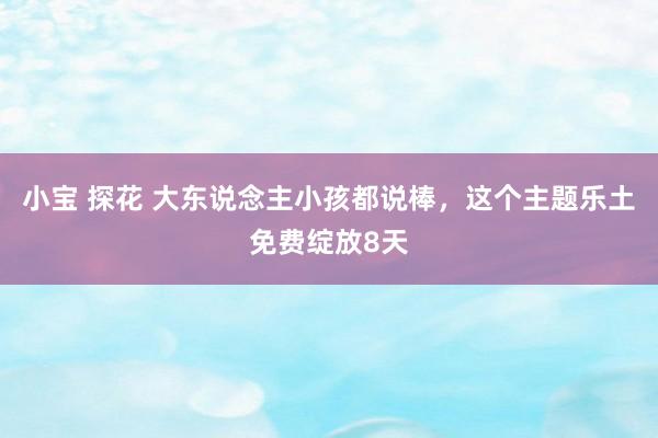 小宝 探花 大东说念主小孩都说棒，这个主题乐土免费绽放8天