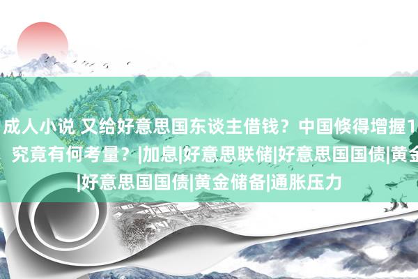 成人小说 又给好意思国东谈主借钱？中国倏得增握124亿好意思债，究竟有何考量？|加息|好意思联储|好意思国国债|黄金储备|通胀压力