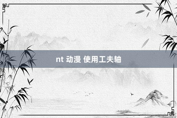 nt 动漫 使用工夫轴