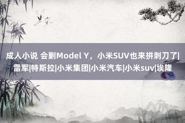 成人小说 会剿Model Y，小米SUV也来拼刺刀了|雷军|特斯拉|小米集团|小米汽车|小米suv|埃隆