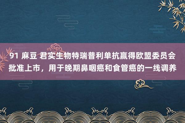 91 麻豆 君实生物特瑞普利单抗赢得欧盟委员会批准上市，用于晚期鼻咽癌和食管癌的一线调养